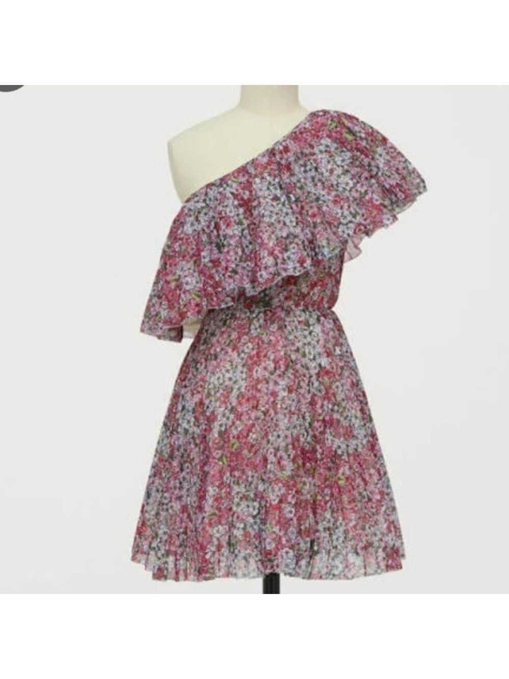 GIAMBATTISTA Valli x H&M One-Shoulder Floral Dress NWT